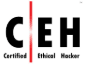 Certified Ethical Hacker (CEH)