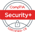 Security Testing