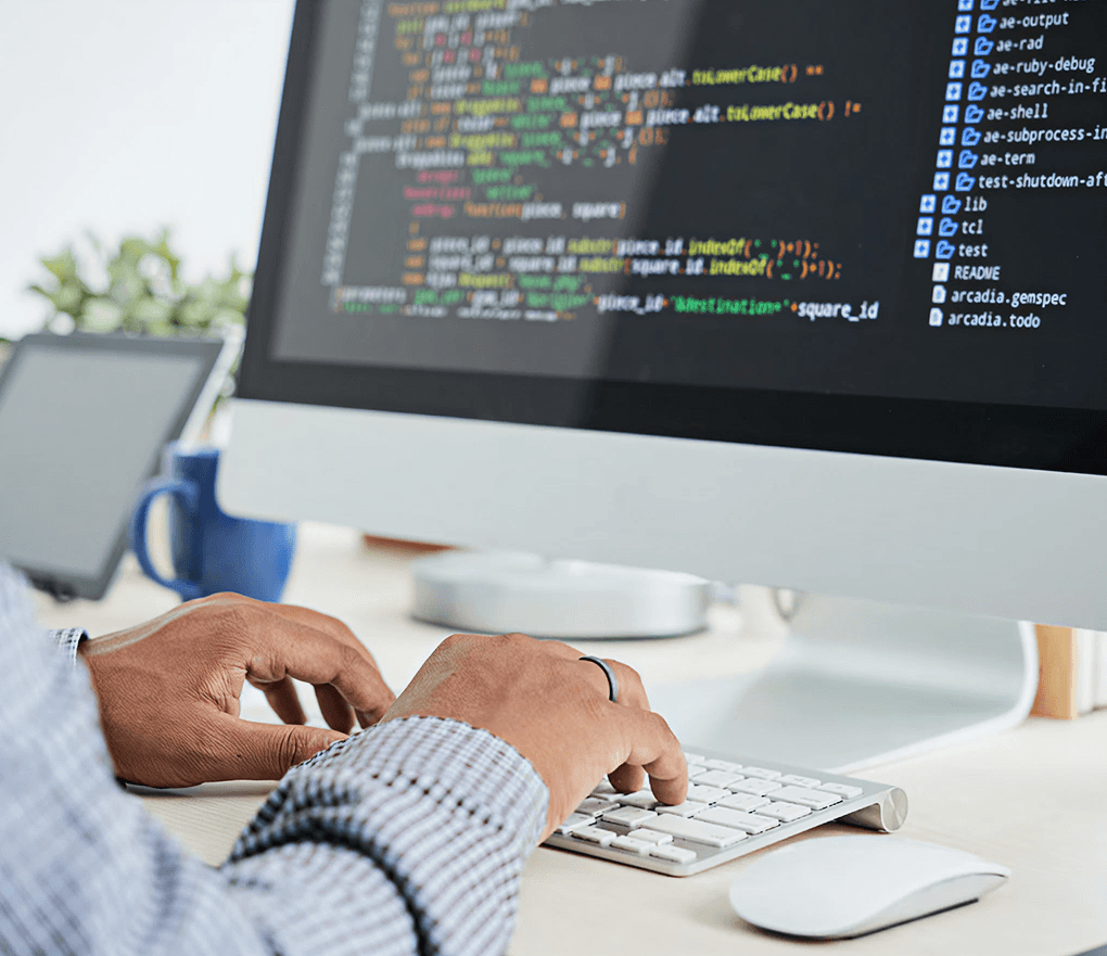 Professional developer working on API testing and development